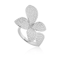 Anillo Mujer Anello In Argento in Plata Cubic Zirconia AN.FDF.5F-S